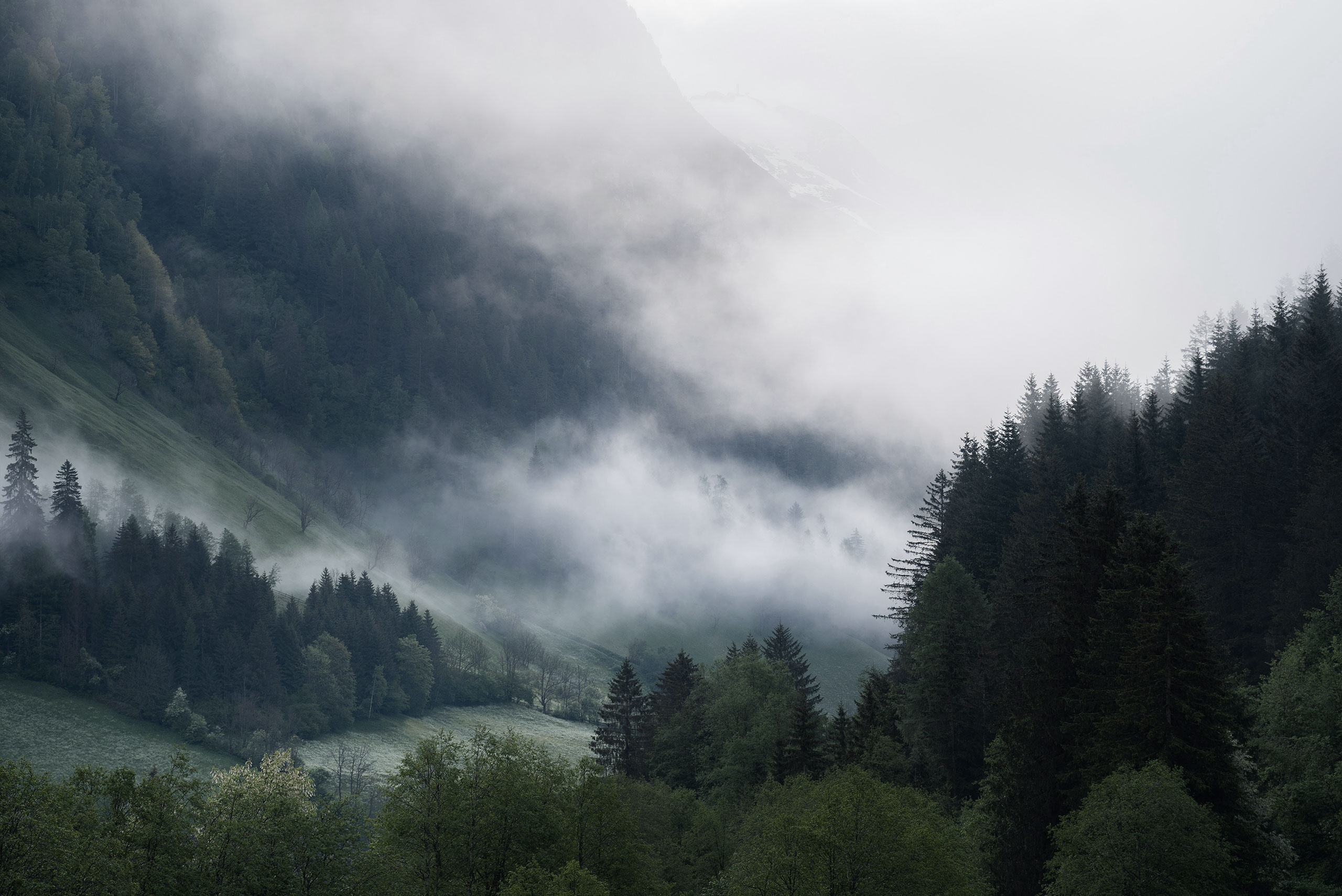 A foggy mountain landscape